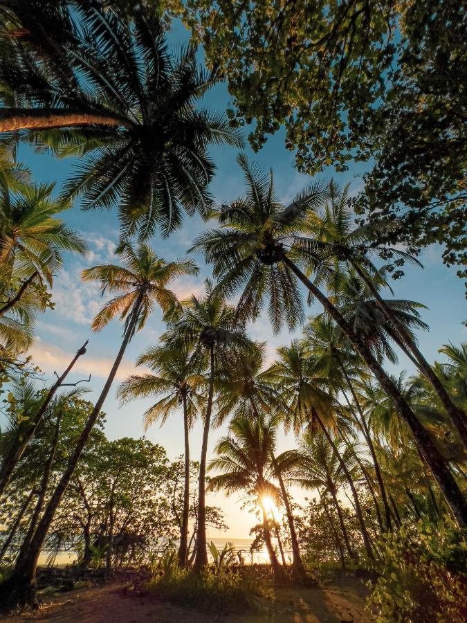 Tropical Beach Uvita Exterior photo